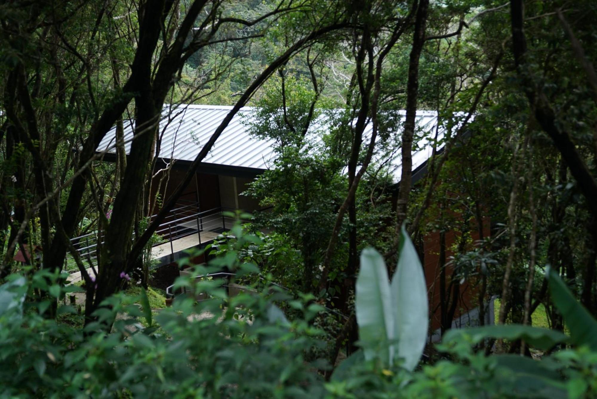 Koora Monteverde A Cloud Forest Hotel By Sandglass Eksteriør bilde