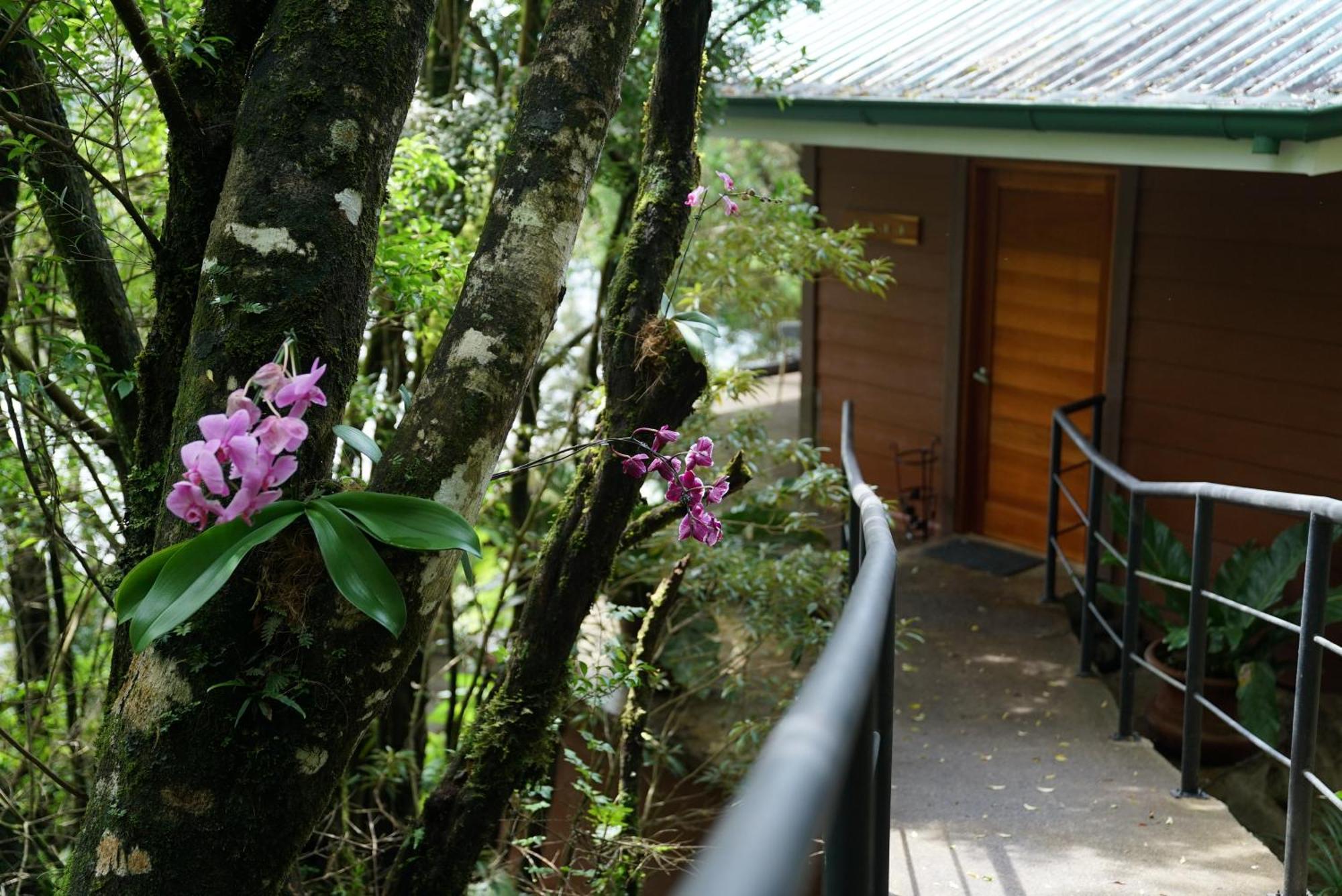 Koora Monteverde A Cloud Forest Hotel By Sandglass Eksteriør bilde